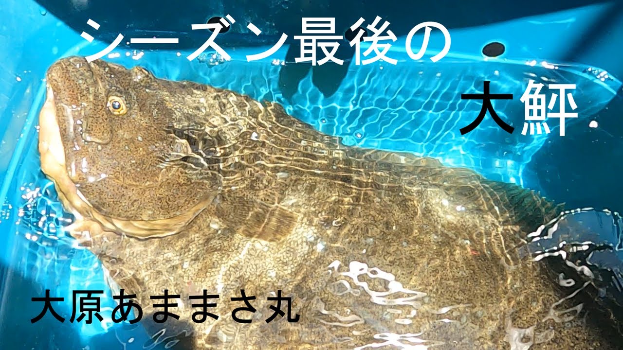 大原ライトヒラメ　大鮃リベンジで納得の大鮃！！