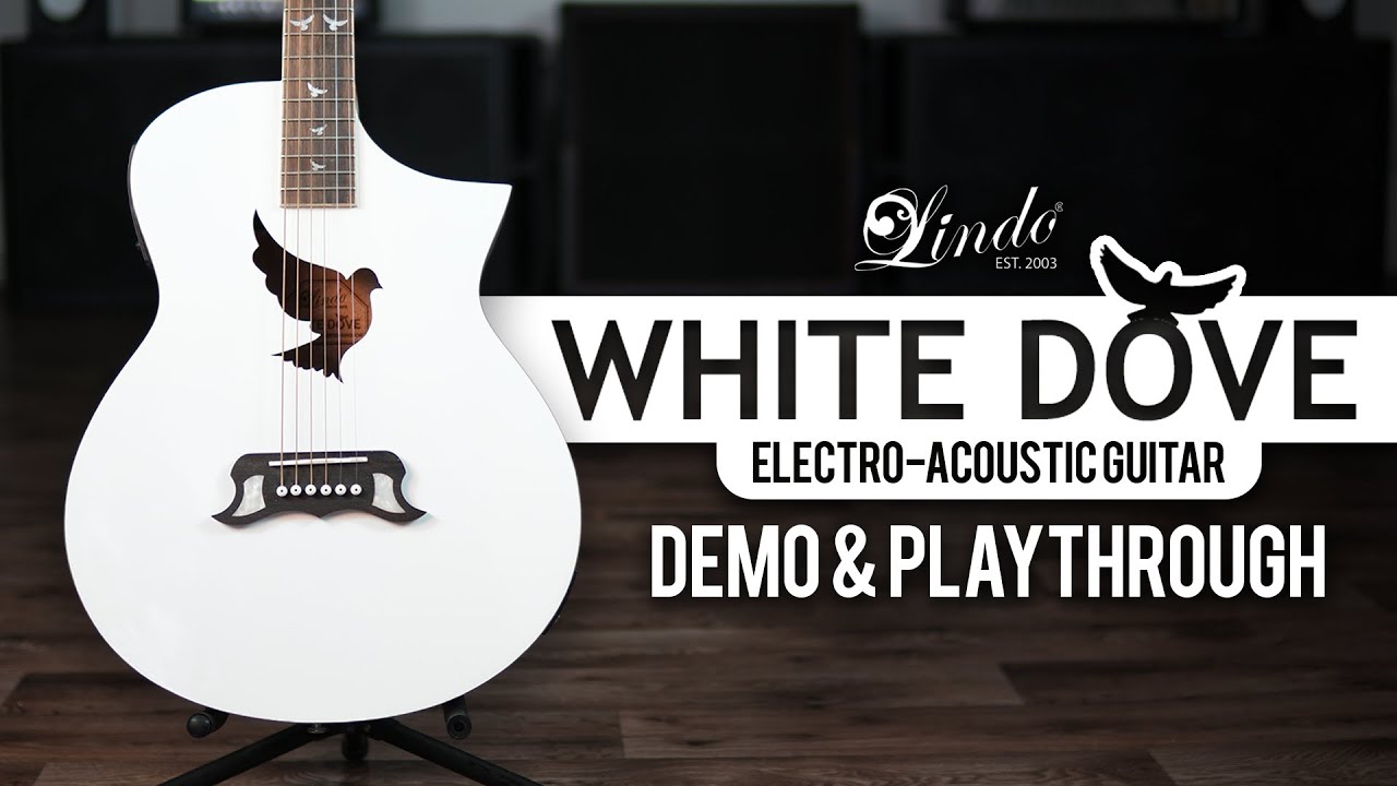 Lindo White Dove V3 Electro Acoustic Guitar | Demo and Playthrough
