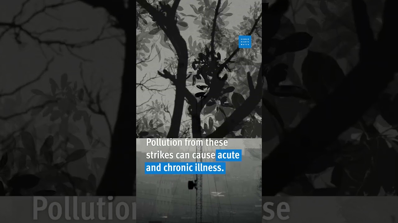 World Environment Day: What is the environmental impact of war?