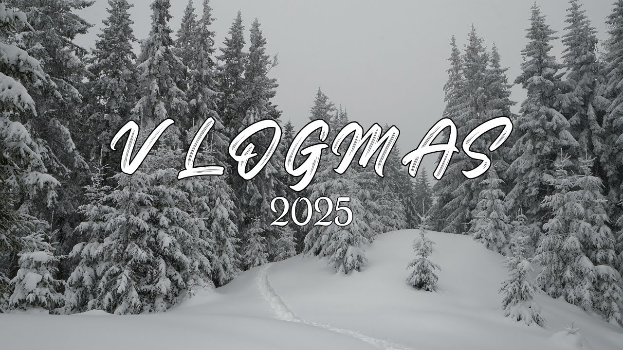 Vlogmas Tag 2|Wir gehen auf den Weihnachtsmarkt ⭐️🌲