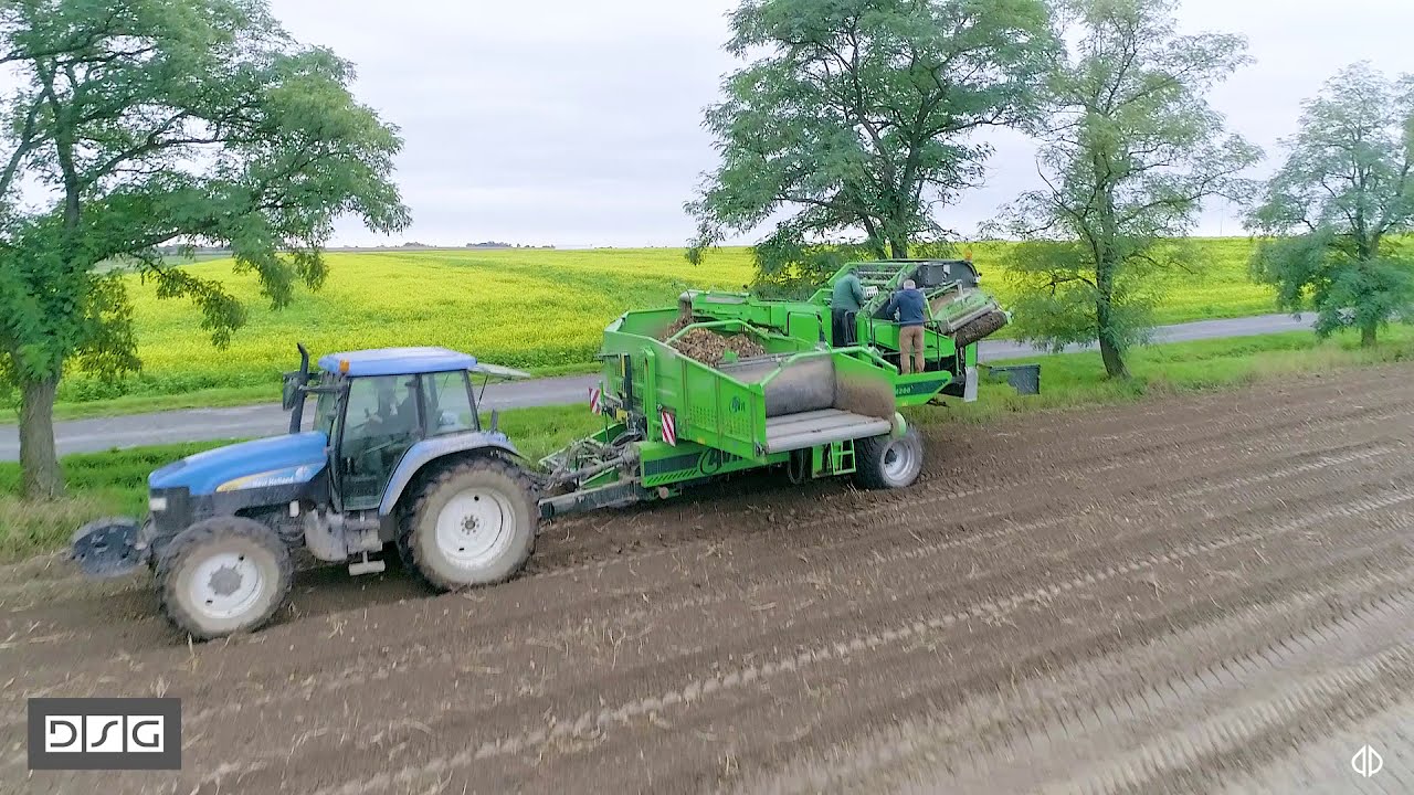 🥔🥔🥔Ziemniak. Technologia DSG w opinii Profesjonalisty 👨‍🦰