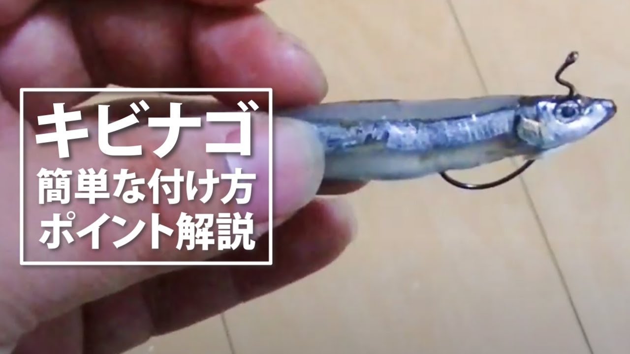 【釣り】キビナゴの付け方【色々な魚が釣れる万能釣り餌!!】