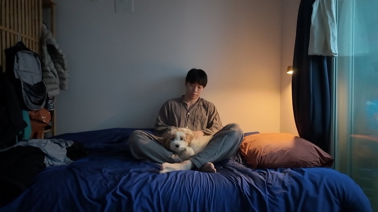 차분한 온도
