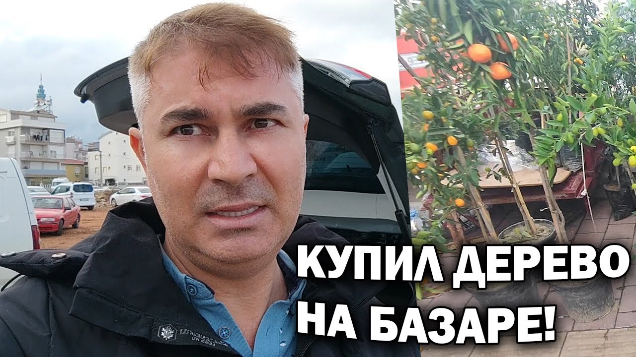 КУПИЛ ДЕРЕВО! НА ТУРЕЦКОМ БАЗАРЕ ЗАКУПАЮ ПРОДУКТЫ - ЦЕНЫ -  Кепез Анталия #влог