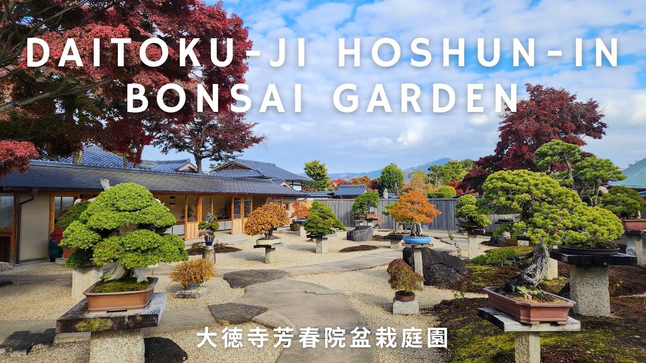 Daitoku-Ji | Hoshu-In Bonsai Garden in Kyoto Japan
