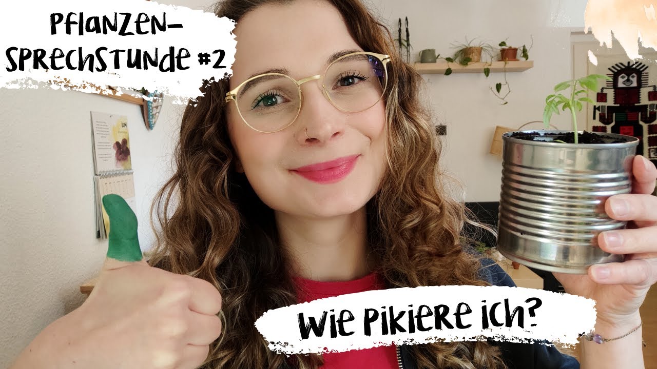 Pflanzensprechstunde Nr. 2: So geht Pikieren