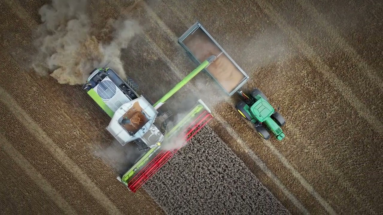 Julia Cole’s ‘A Day Late & A Buck Short’ lending excellence to the Sunk Island Harvest 2025