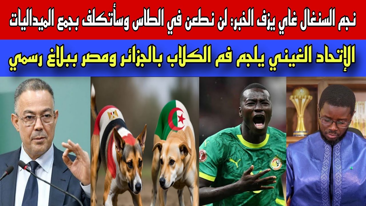 السنغال تزف الخبر..لن نطعن في الطاس و جمع الميداليات سيتكلف  به اللاعب غاي/رئيس السنغال في ورطة