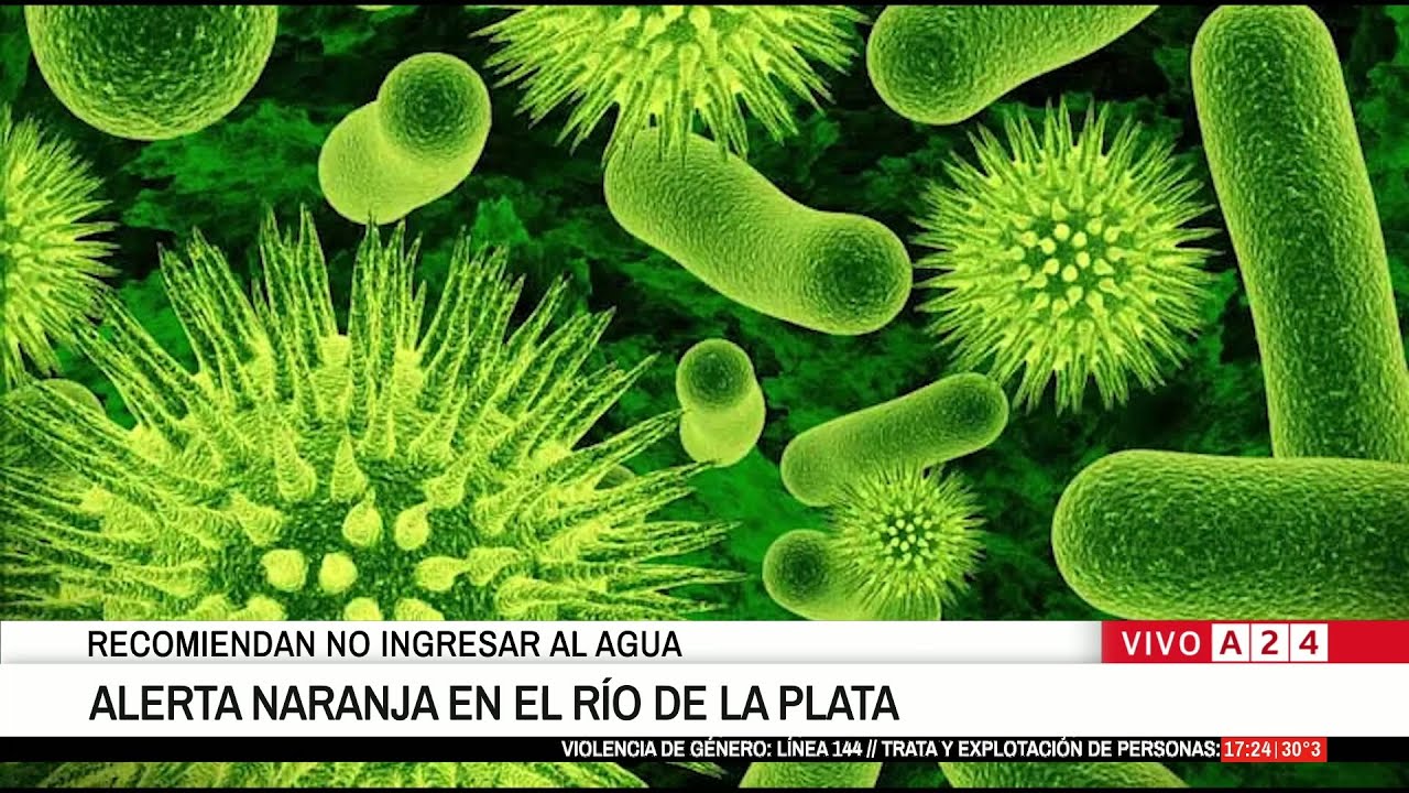 🚨 ALERTA NARANJA EN EL RÍO DE LA PLATA: RECOMIENDAN NO INGRESAR AL AGUA