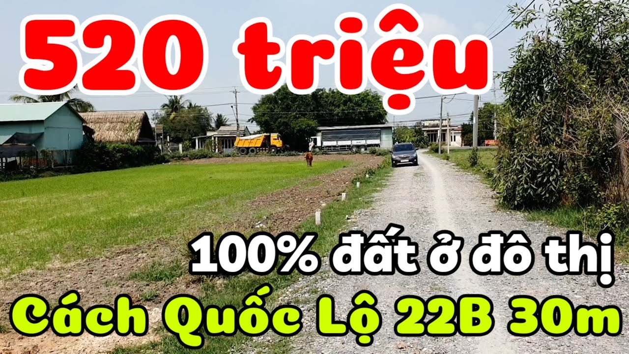 Đất phường Thanh Điền 520 triệu cách Quốc lộ 22B 30m 100% thổ cư gần Bến xe Tây Ninh sổ hồng riêng