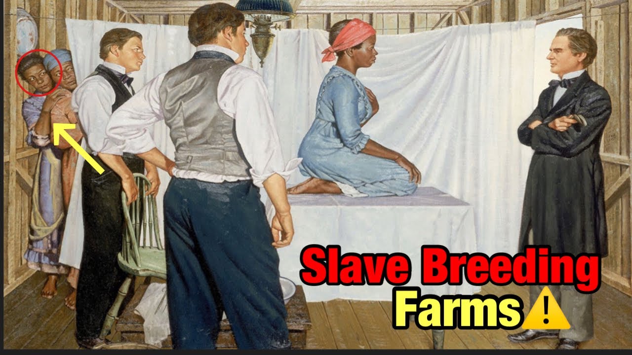 The Horrific Truth About Breeding Farms During Slavery