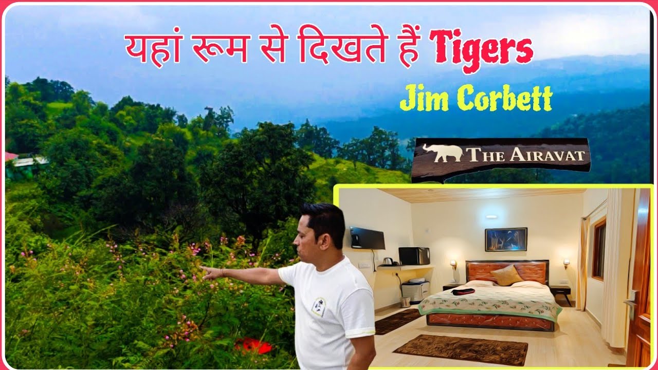 Best Stay in Jim Corbett National Park || Tiger Territory 