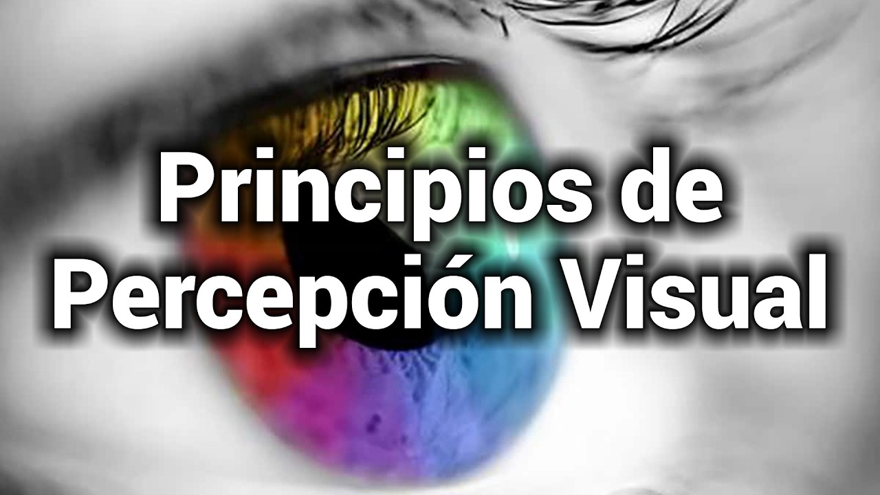 Principios de Percepción Visual