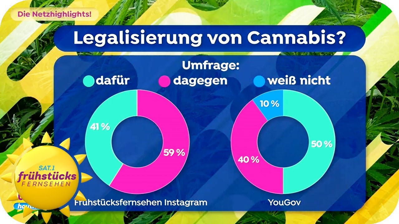 Legalisierung von Cannabis und Co. - die Netzhighlights vom 18.08.2023 | SAT.1 Fr&uuml;hst&uuml;cksfernsehen