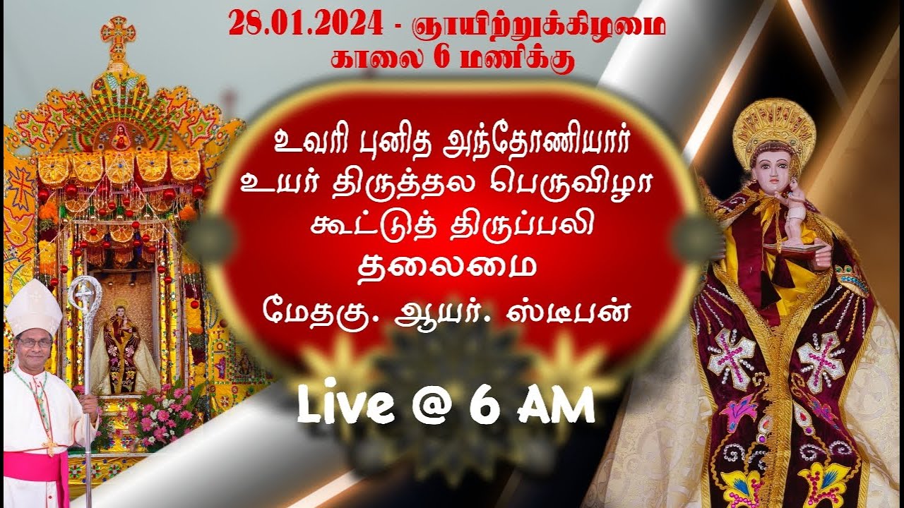 ST.ANTONY MAJOR SHRINE FEAST MASS 2024