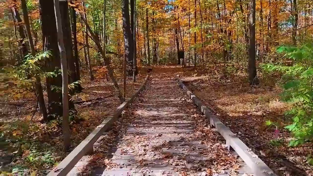 Bois Papineau / Provincial park in Laval, Quebec