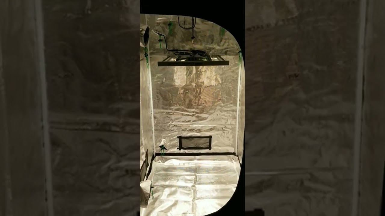 Got a New Grow Set-Up! Mars Hydro FC-3000 Light & 3x3 Grow Tent
