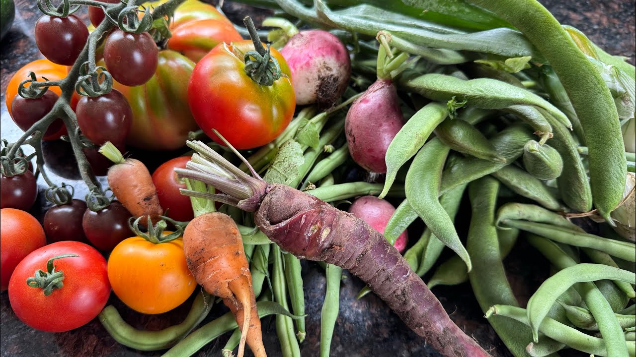 You Won’t Believe This Harvest from a Tiny Allotment! | Small Space Garden Tour