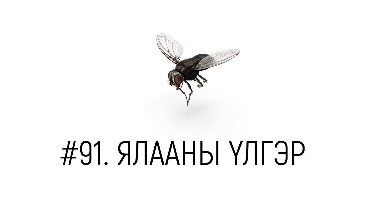 ЗӨВ ҮҮ? ТАВ УУ? #91. Ялааны үлгэр