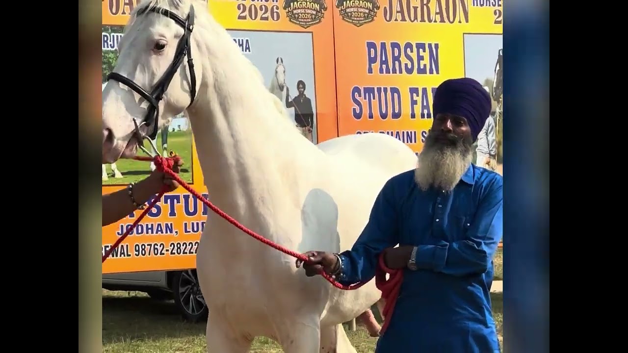ਘੋੜਿਆਂ ਦਾ ਸ਼ੋਅ- #liveupdates #horse #horseriding #horseracing #nanaksarlivetoday ##nanaksarkaleran 