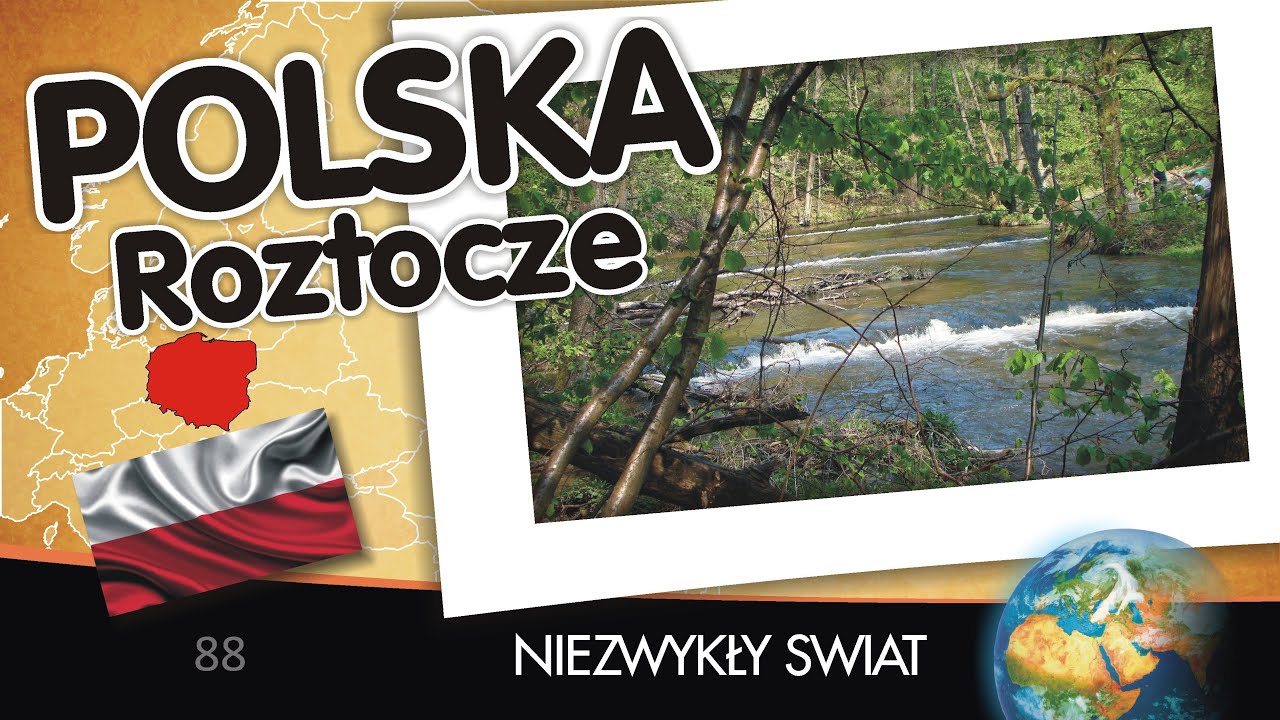  Tu las patrzy na Szumy.