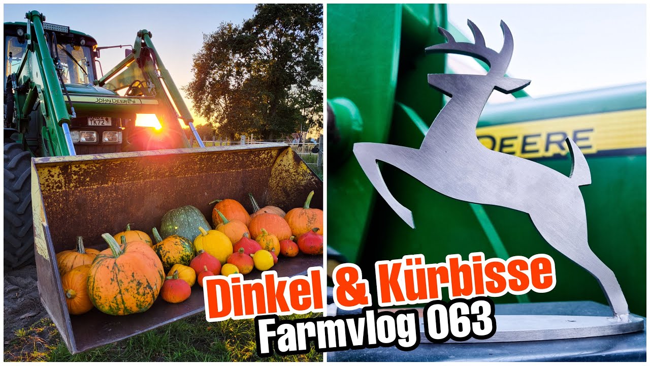 Neue Kühlerfigur🚜 | Aussaat Dinkel | Kürbisernte - Farmvlog 063