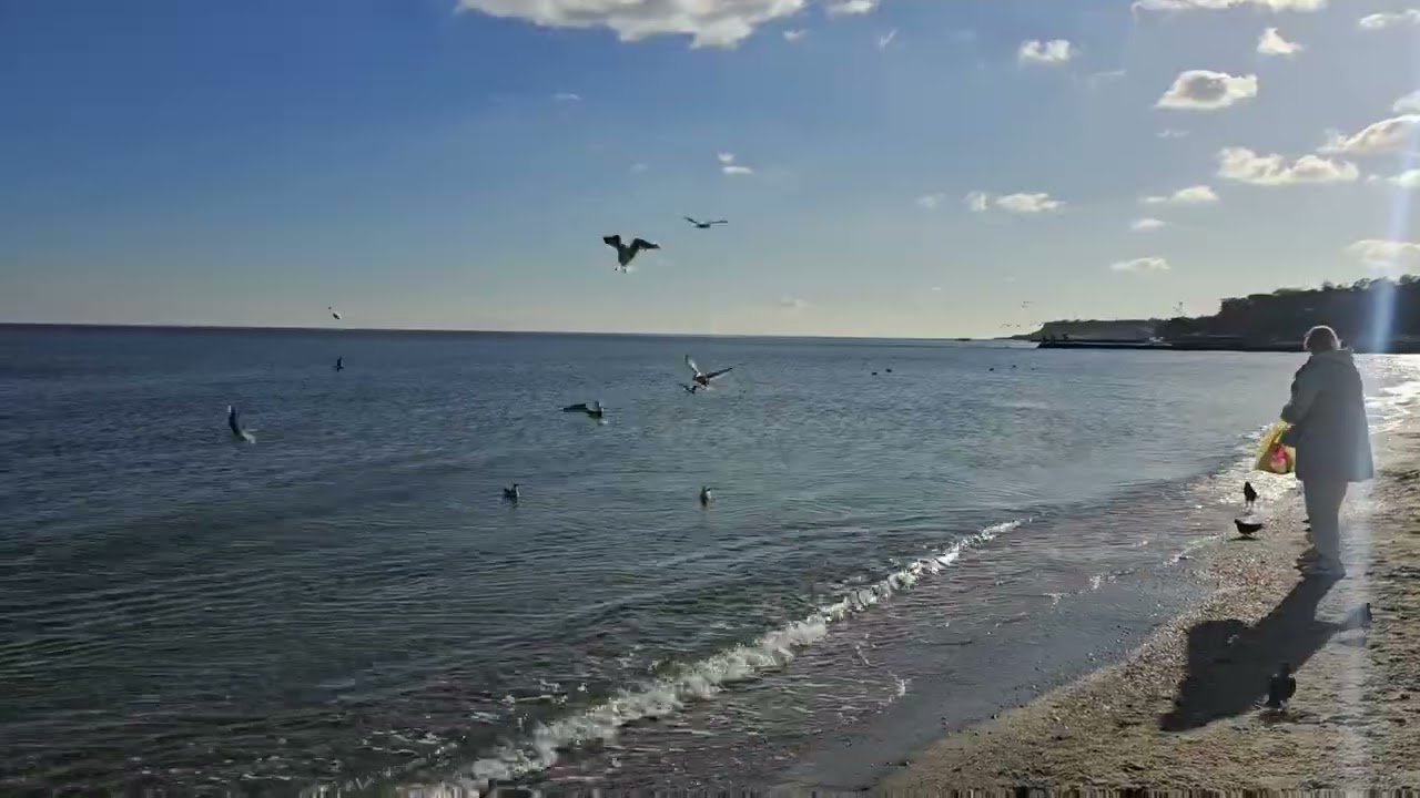 Великолепная весенняя Одесса 17.11.2024. 13-я станция большого фонтана.