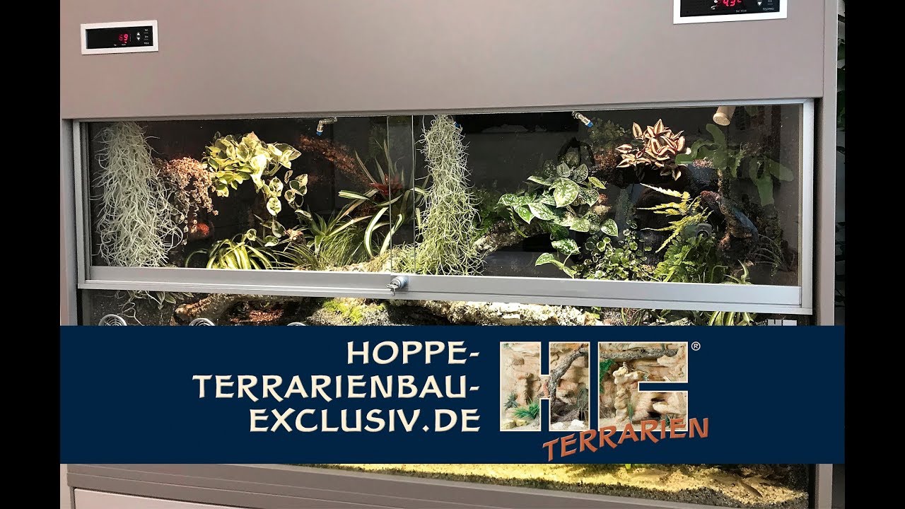 Aquaterrarium / Paludarium für Shinisaurus crocodilurus / Krokodilschwanzechsen