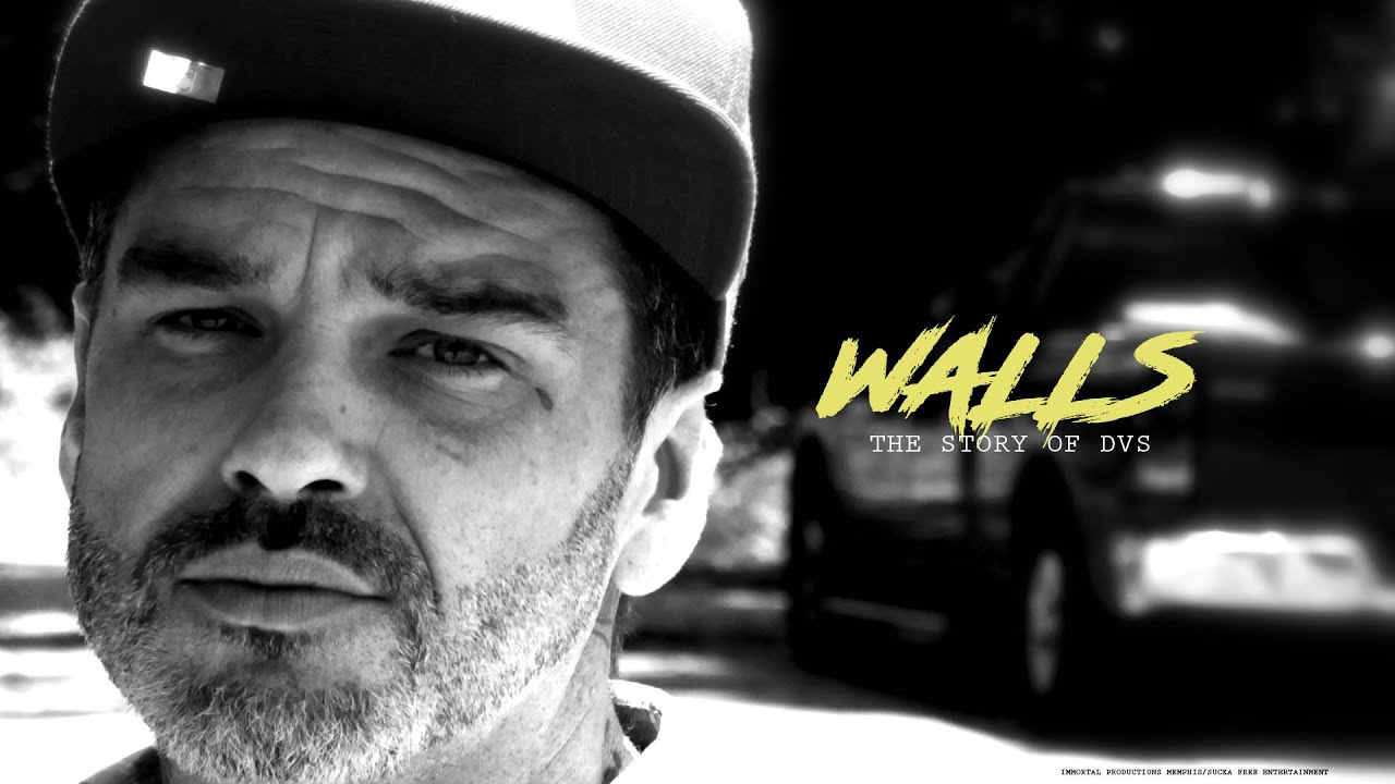 Walls : The Story of DVS
