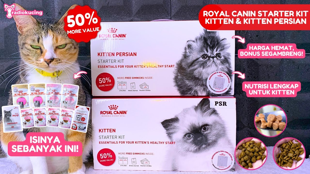 Beli Royal Canin Starter Kit Kitten ternyata DAPET BEGINIAN! Yuk Unboxing Lengkap | Radiokucing #215