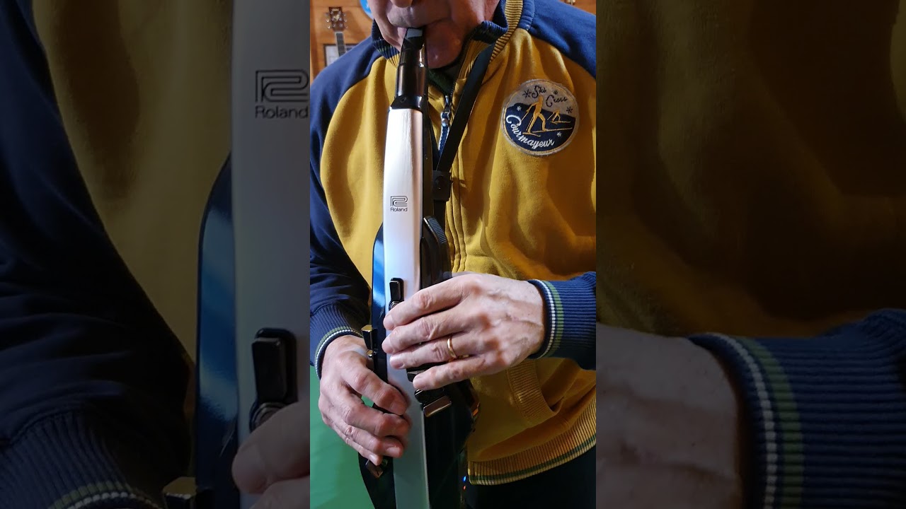 Roland Aerophone Pro Ae 30 - So What?