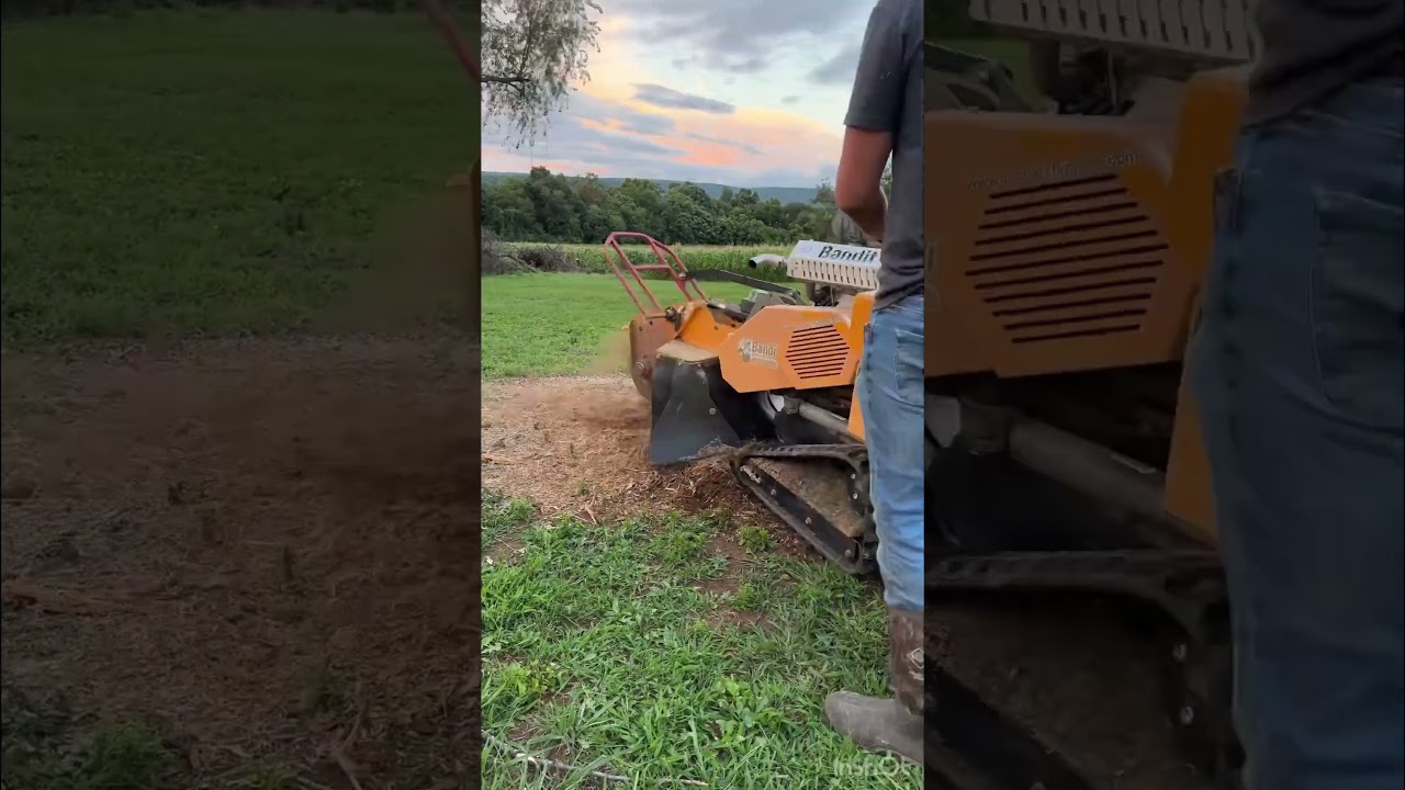 Stump Removal #BSG