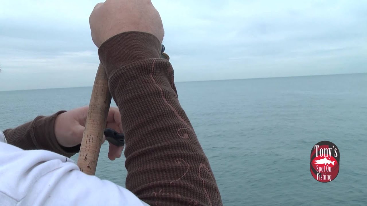 Spoon Fed Salmon: Chicago 2014