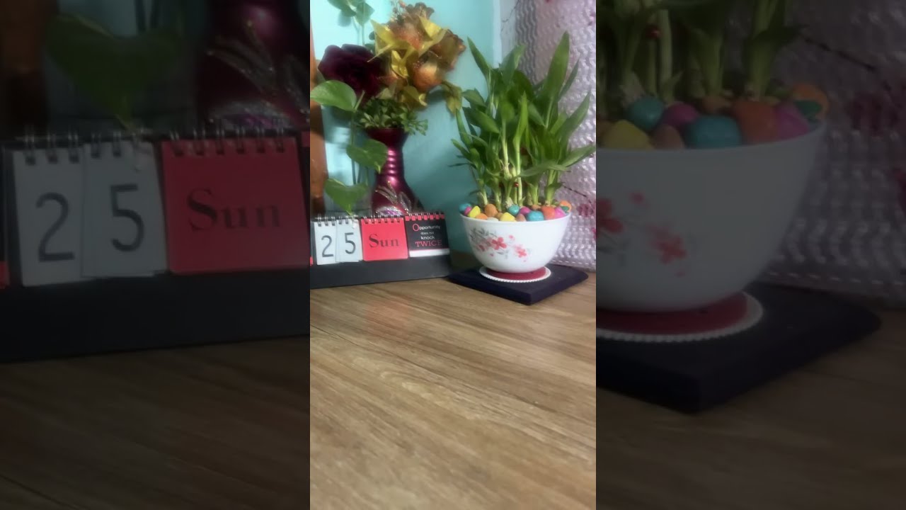 My indoor plants #indoorplants 