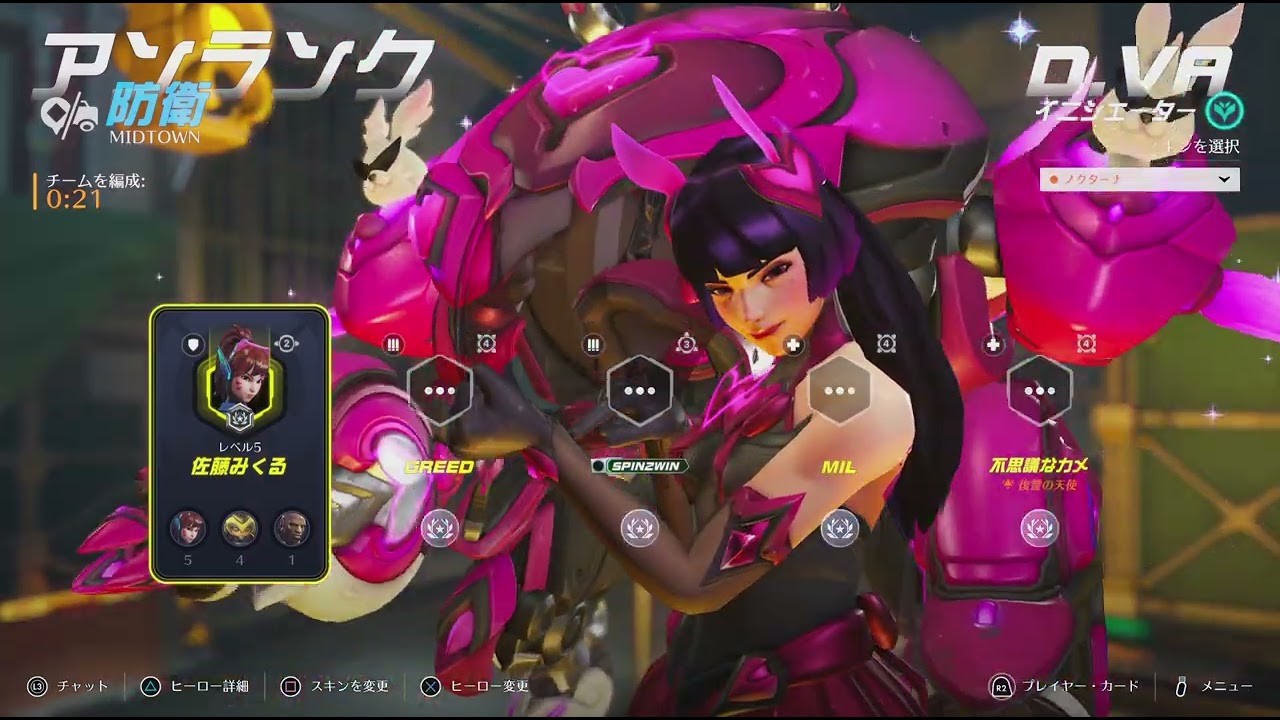 D.va 研究