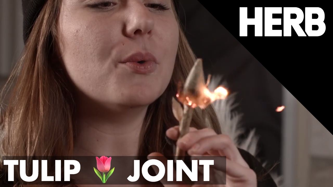 How to Roll A Tulip Joint | HERB Rolligami with Cody van Gogh