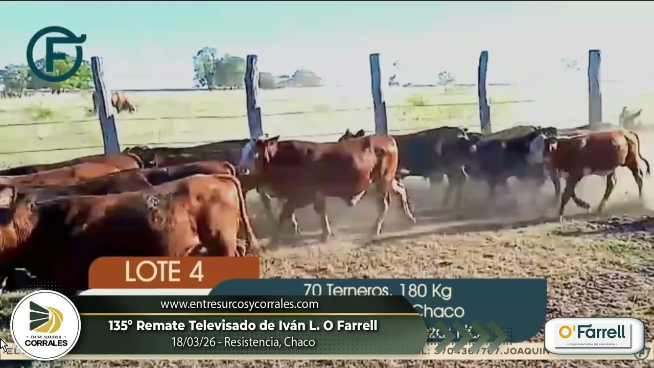 18-03-26 - 135º Remate Televisado de Iván L. O Farrell - Resistencia, Chaco