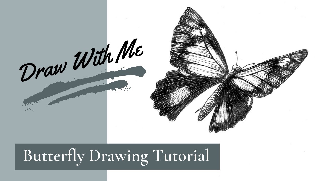 Draw With Me: Butterfly Drawing Tutorial