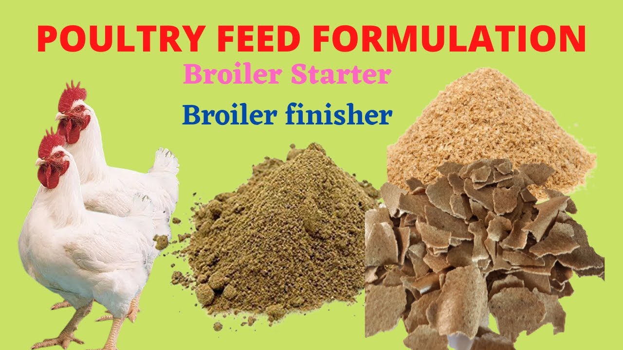 Broiler Feed Formulation| How To Make Your Own Poultry Feed