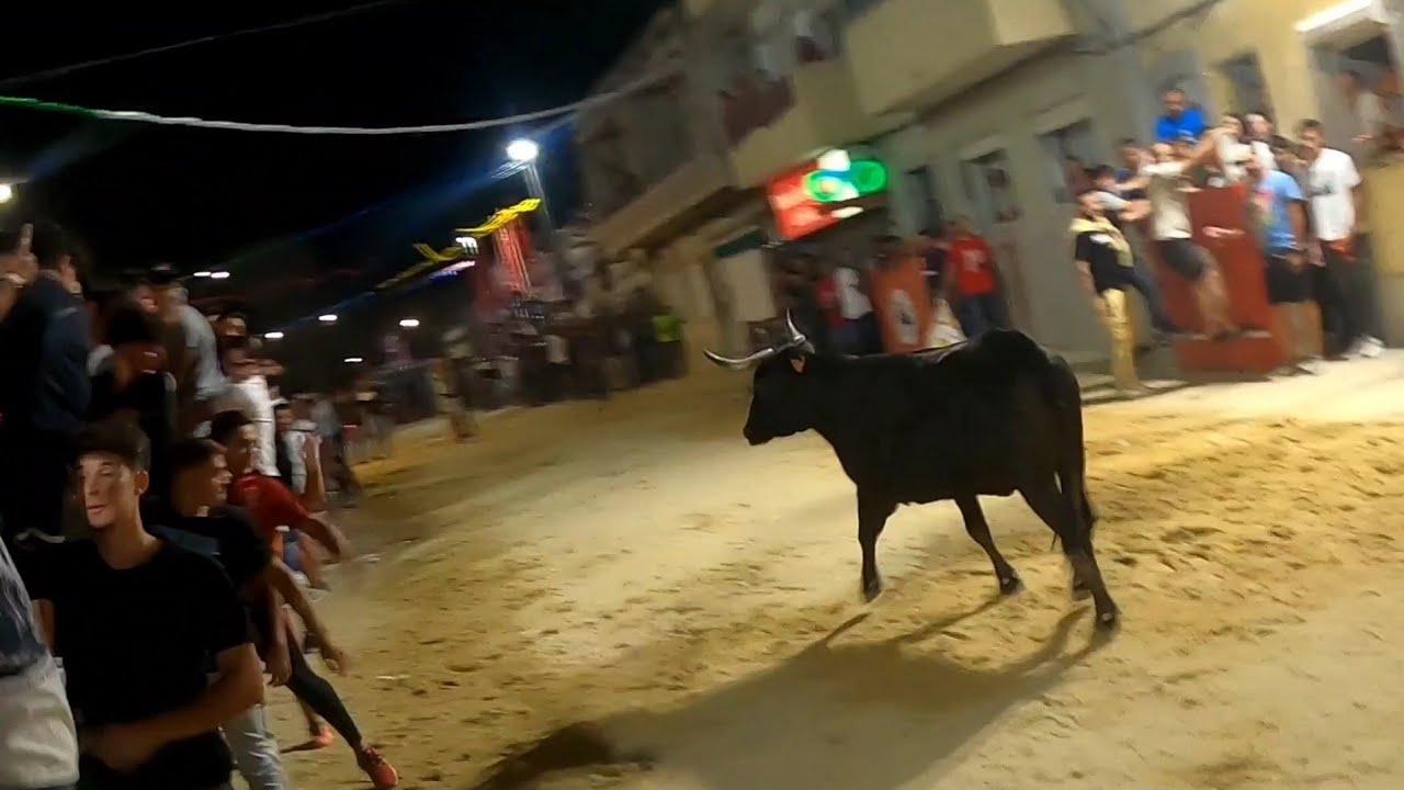 Largada de Touros Paio Pires 2023