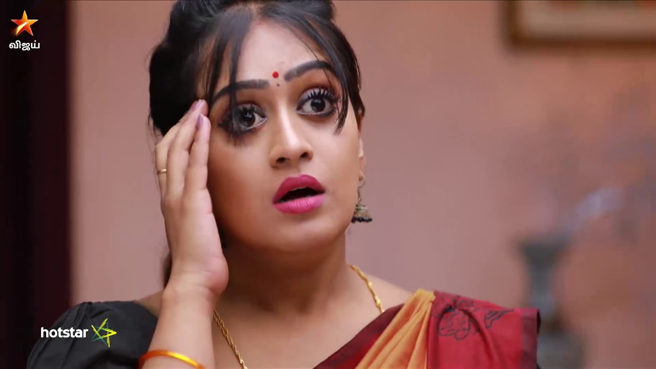 Raja Rani Full Episode 317