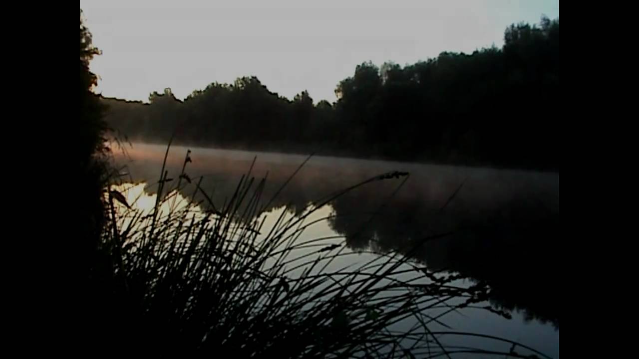Teltowkanal Rapfen/Zander