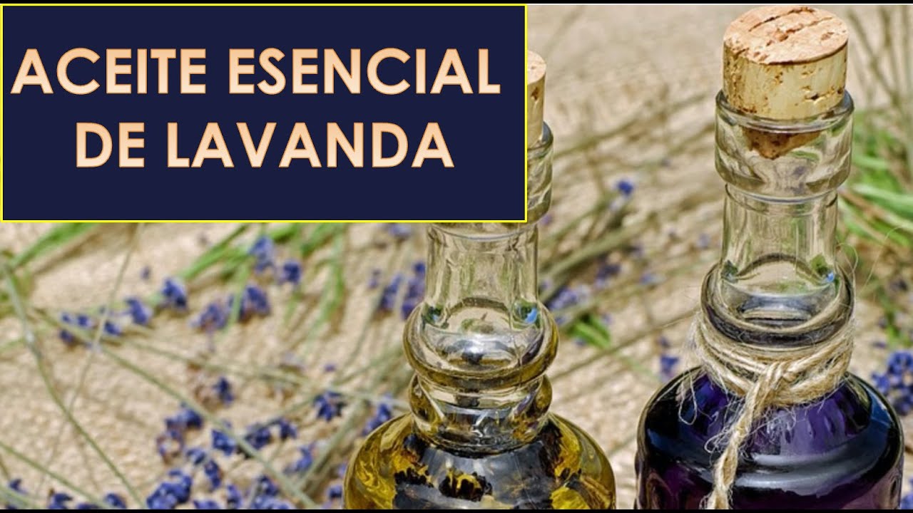 Эфирное масло лаванды. Преимущества и недостатки