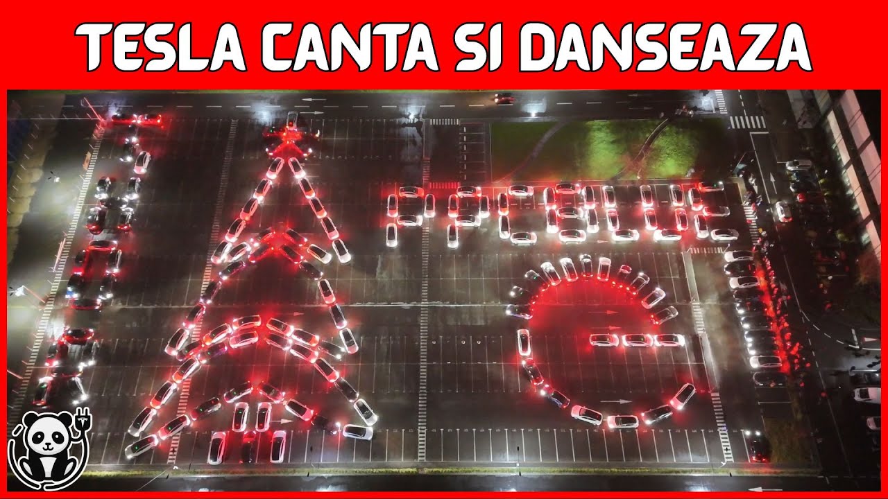 Tesla Christmas Lightshow 2025 - THOR Romania | Bonus: Ce consum am gasit la alti posesori de Tesla?