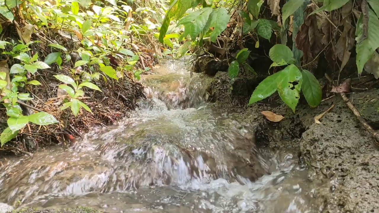 Healing River Ambience – Calm River Sounds with White Noise for Stress Relief