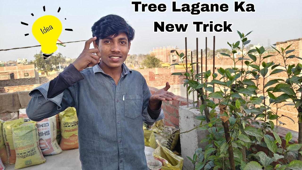 Tree 🌳 Lagane Ka New Trick 2026 🙄