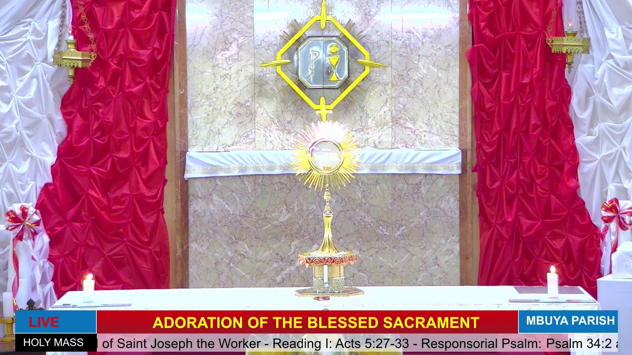 Catholic Mass Today || Daily Mass - Thursday 1st May 2025 || Daily Mass Online