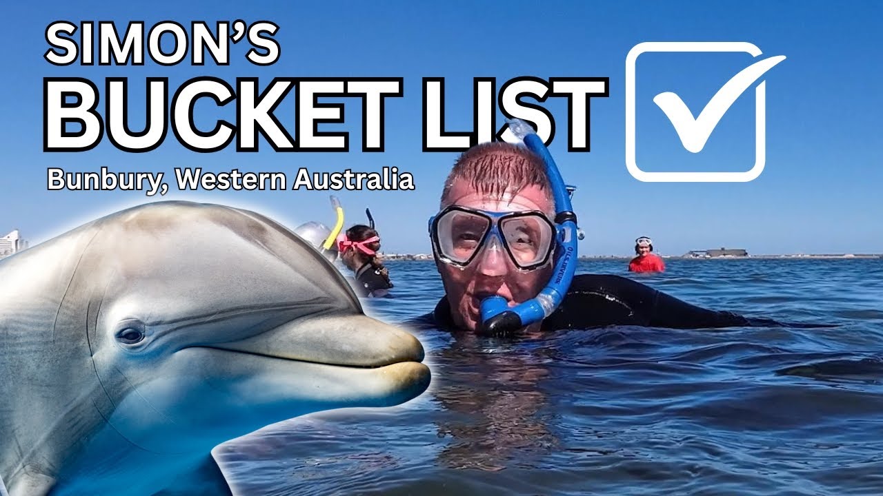 A Childhood Dream Fulfilled 🐬 Swimming With Wild Dolphins in Bunbury, Western Australia