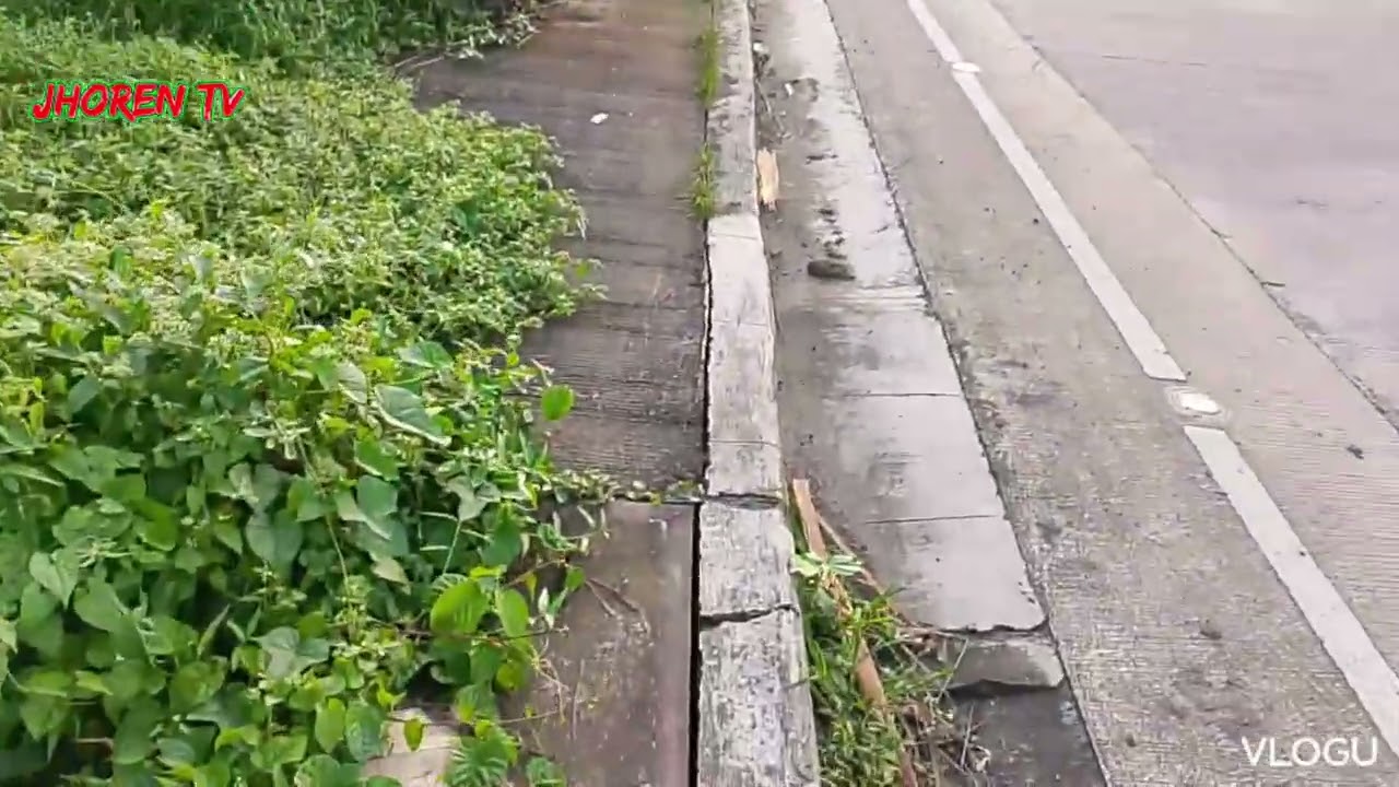Alert Walking Through Highway UST BOULEVARD Critical Area