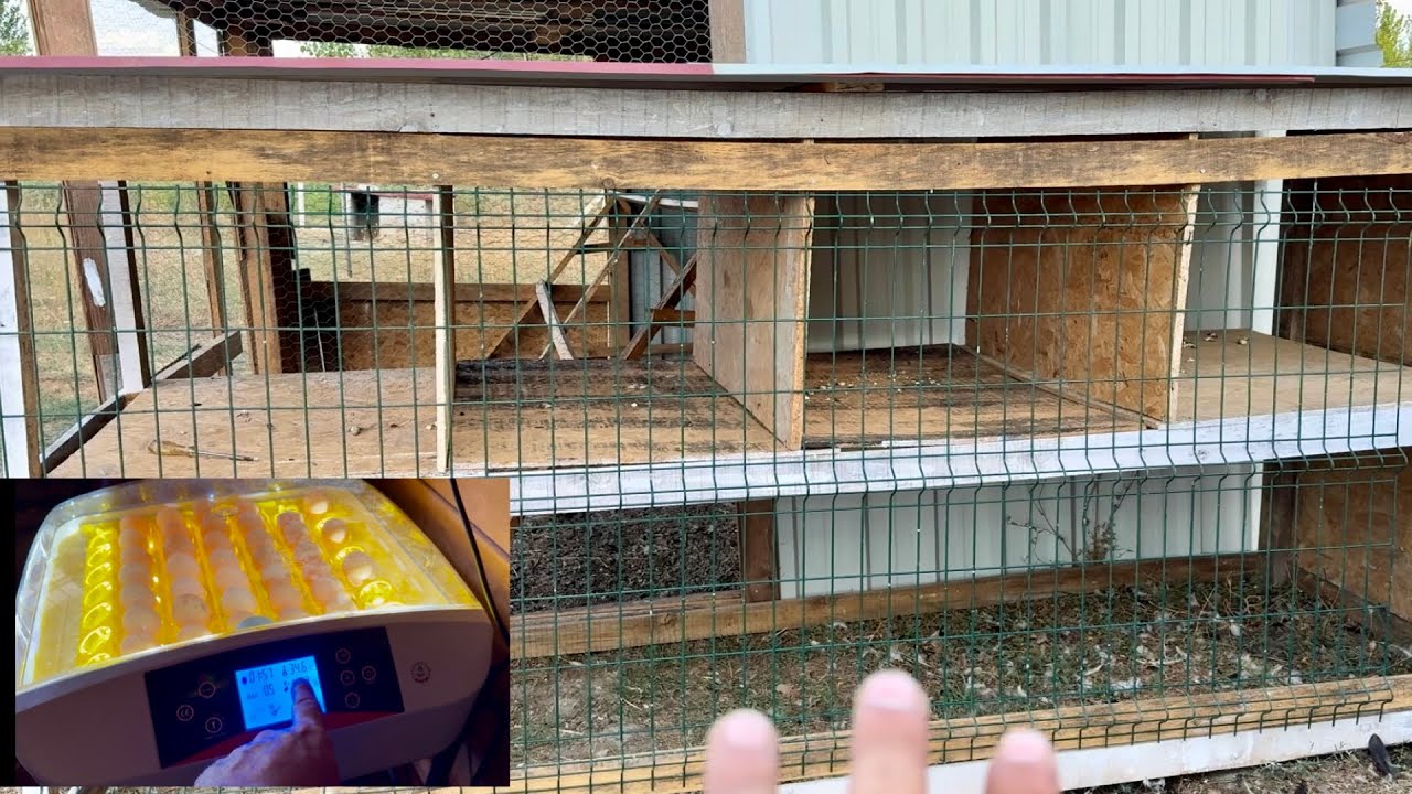 B&Ouml;LMEKİ HİNT HOROZU K&Uuml;MESİ BİTTİ KULU&Ccedil;KA MAKİNESİNİ KURDUM